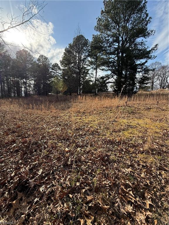 511 Simerson Road Lexington – photo 4