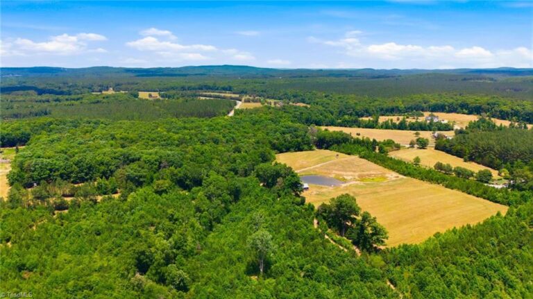 7848 NC Highway 47 Lexington – photo 12