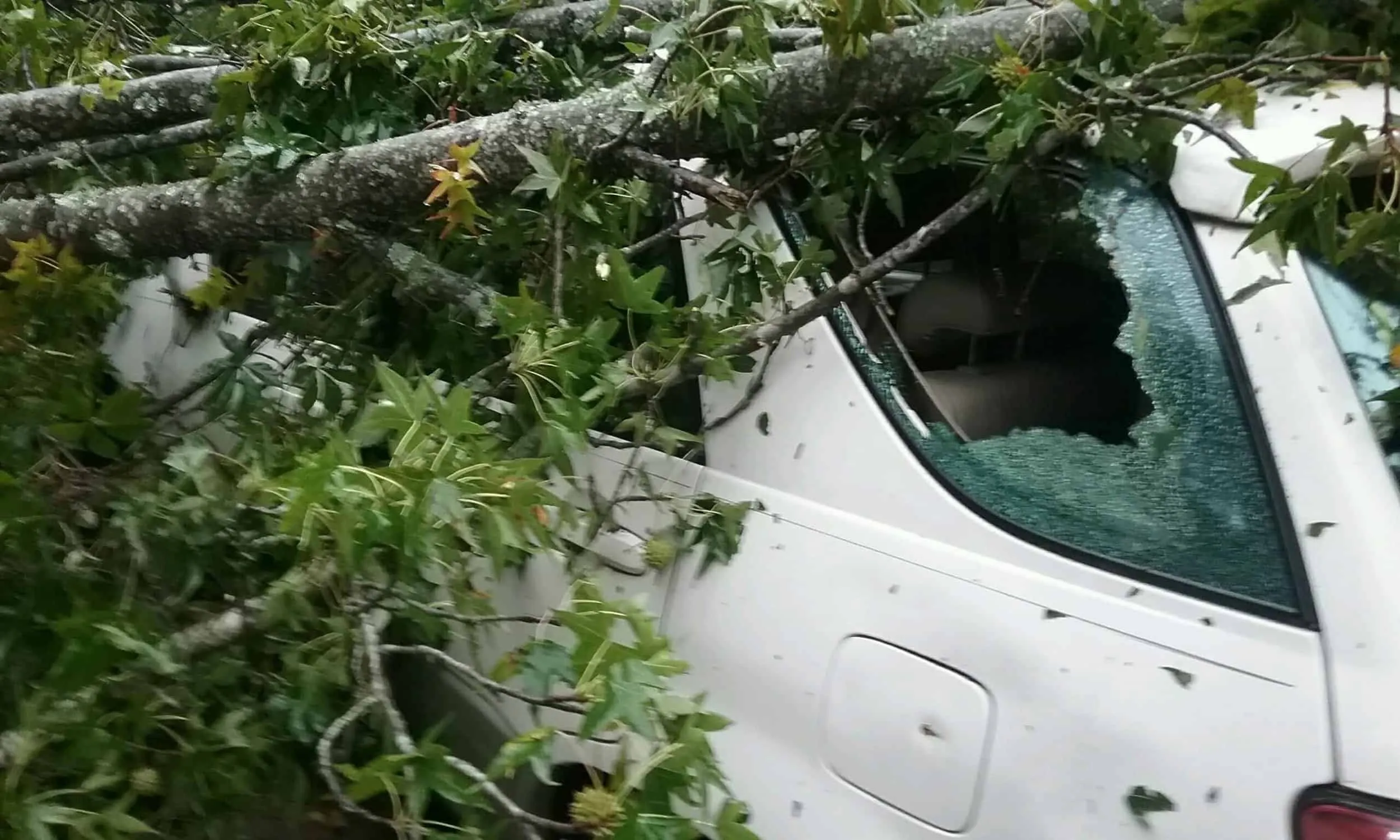 Hurricane Irma wrecks havoc on my Disney Trip & my mindset 1 Hurricane Irma damage to Car