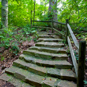 Greensboro Areas 4 northeast-greensboro-nc-reedy-fork