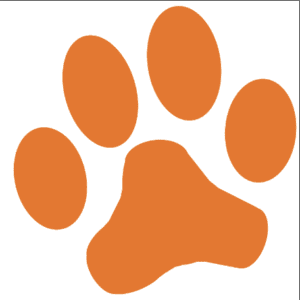 Brier Creek Elementary School Davidson County
