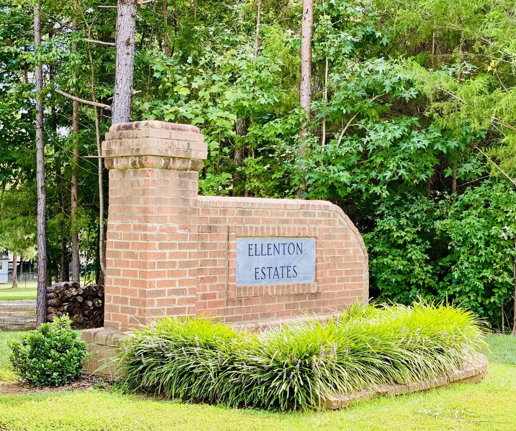 Davidson County community photo