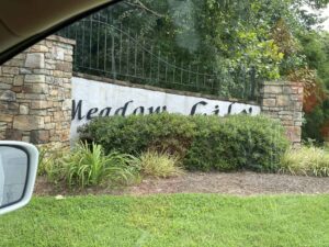 Meadow Lily Davidson County Homes For Sale 1 Meadow Lily Davidson County Homes For Sale