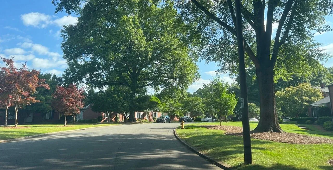 Buena Vista neighborhood in Winston-Salem NC