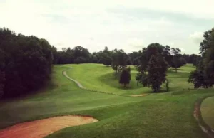 Reynolds Park Forsyth County Homes For Sale