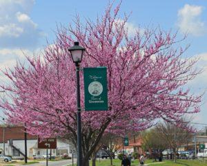 Troutman Iredell County Homes for Sale | Troutman NC Real Estate 78 Troutman Iredell County Homes for Sale | Troutman NC Real Estate