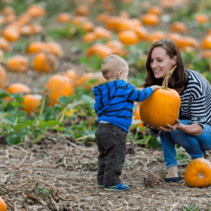 Best of Triad Fall Festivals for 2021