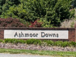 Ashmoor Downs Davidson County Homes For Sale
