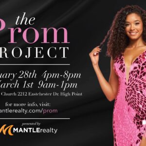 the prom project img