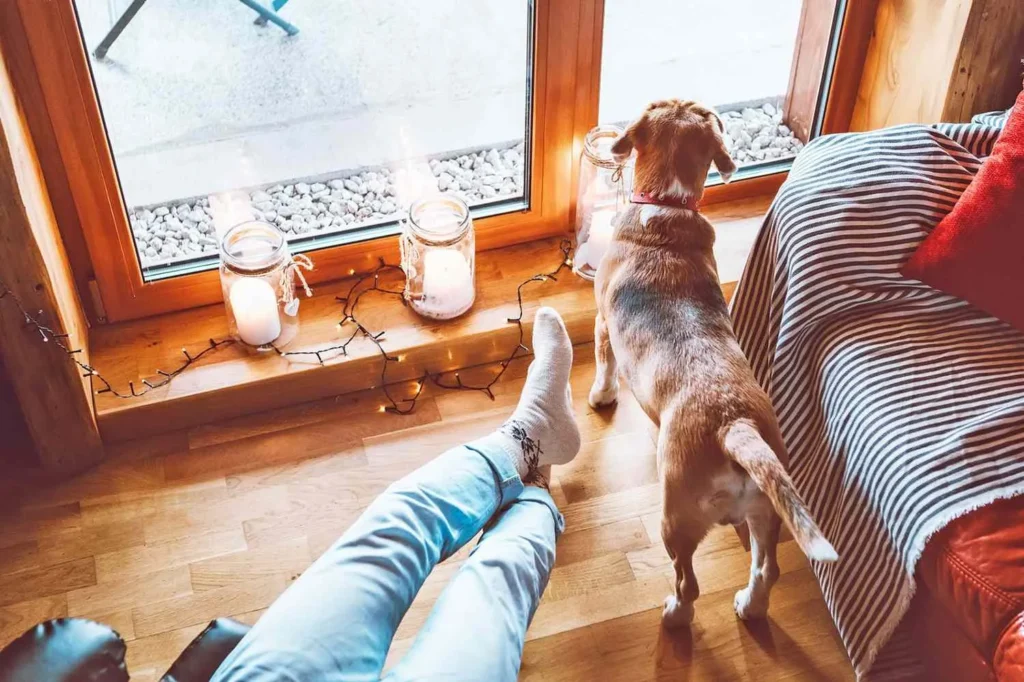 Preparing Home For Showings For Pet Owners