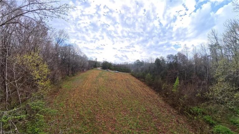 612 Arvin Hill Lane Lexington – photo 2