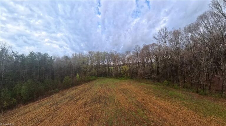 612 Arvin Hill Lane Lexington – photo 4