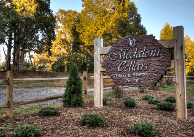 Medaloni Cellars Yadkin Valley wine country