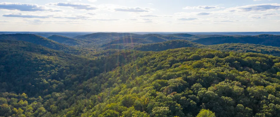 Aerial forest view in Montgomery County North Carolina
