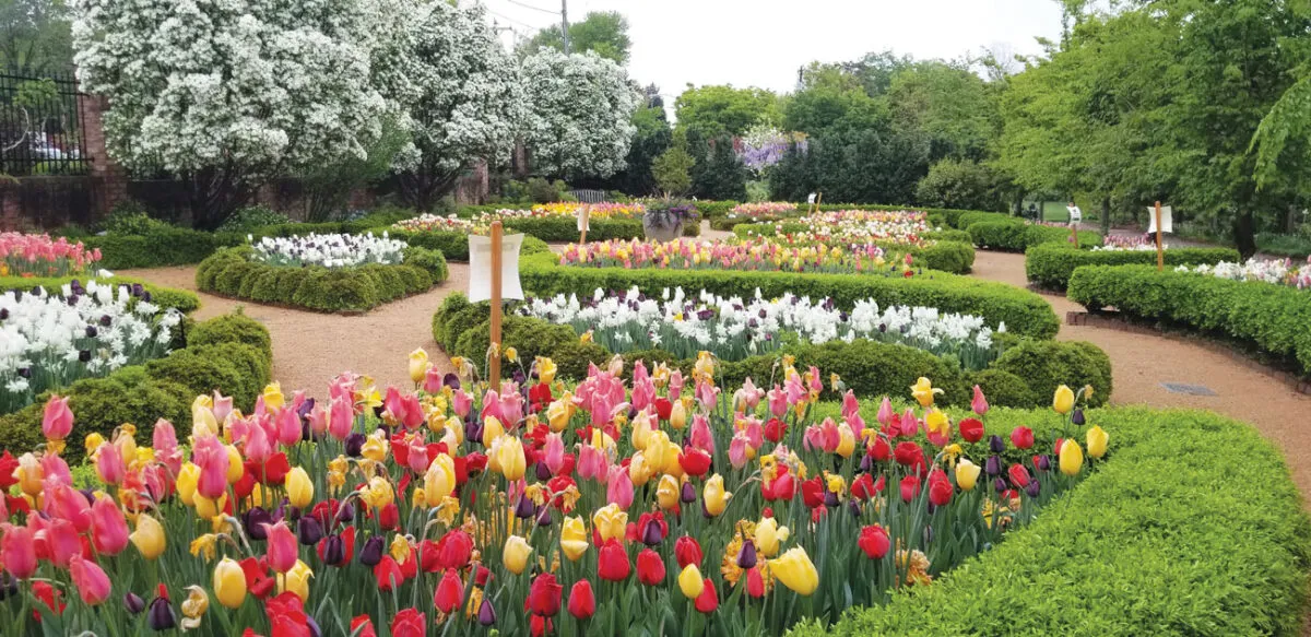 Paul J Ciener Botanical Garden in Kernersville