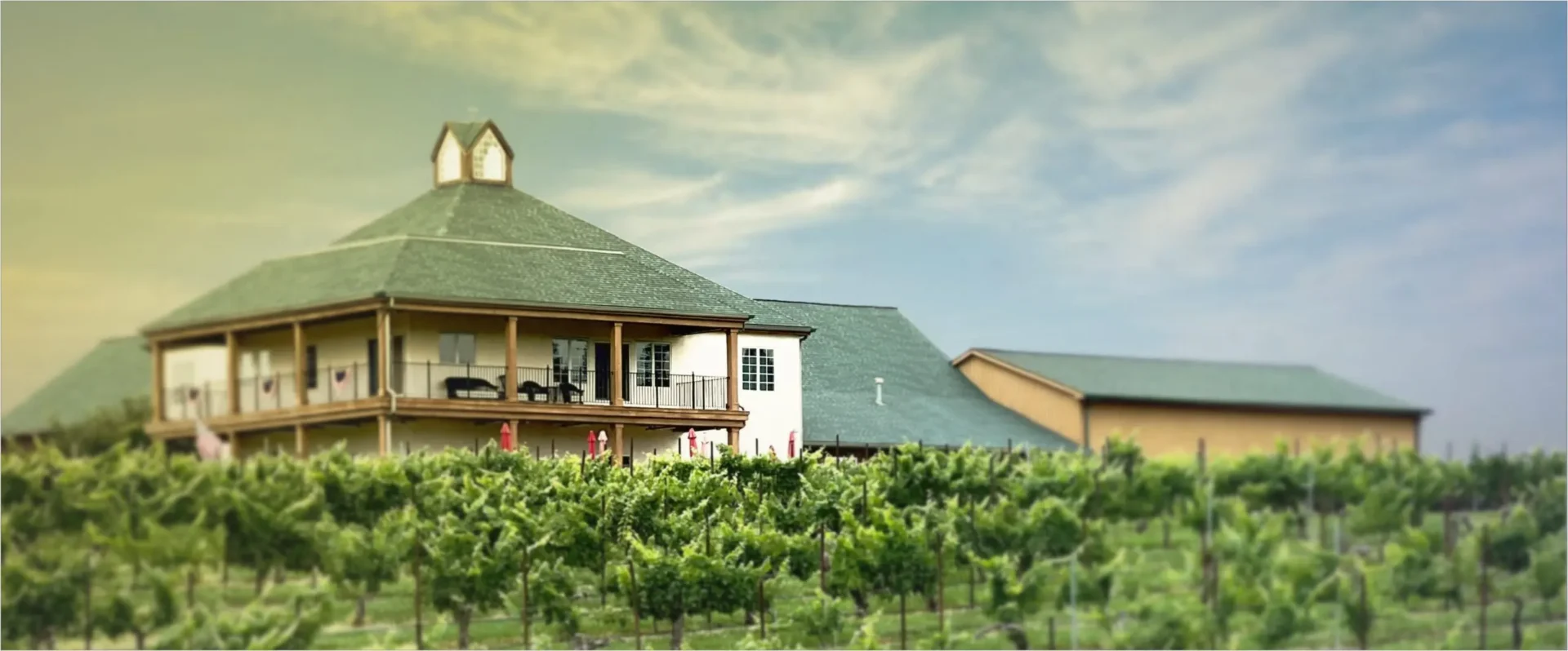 Rayson Winery and Vineyards near Advance NC