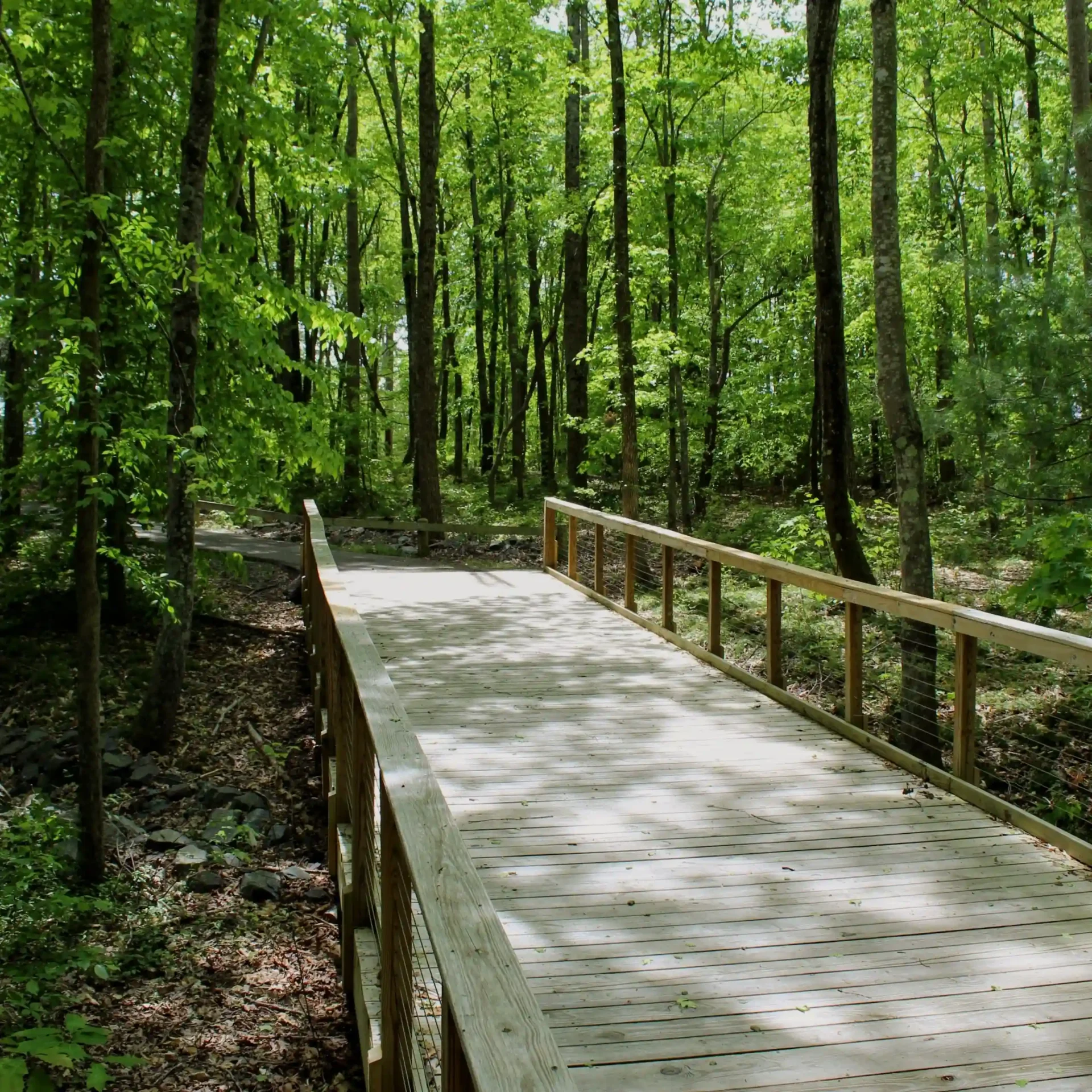 Rich Park in Mocksville North Carolina with walking trails and open space