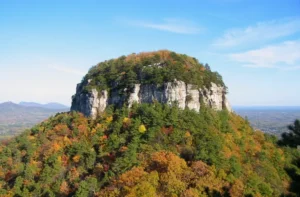 Surry County NC Homes for Sale & Real Estate