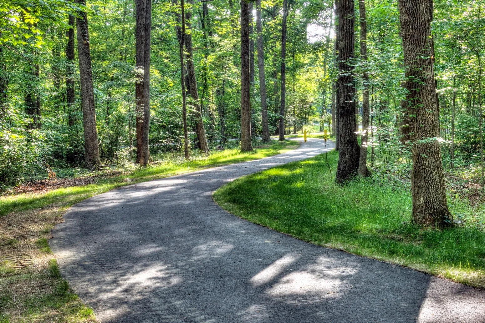 Tanglewood Park trail near Advance NC