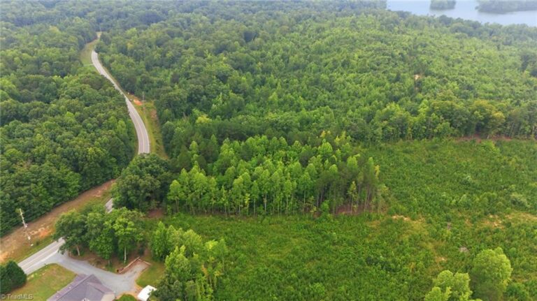 482 Old Mountain Road Lexington – photo 6