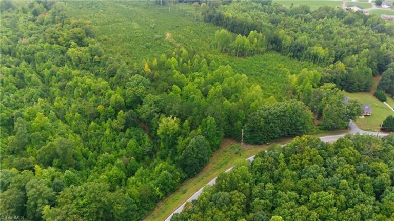 482 Old Mountain Road Lexington – photo 3