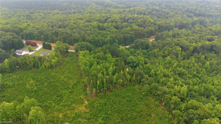 482 Old Mountain Road Lexington – photo 9