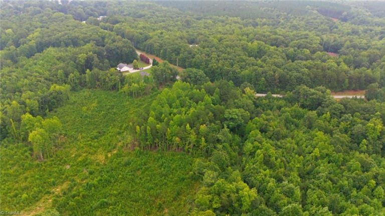 482 Old Mountain Road Lexington – photo 10