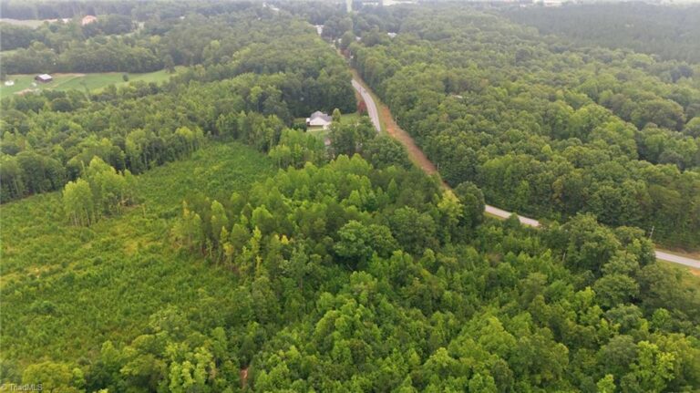 482 Old Mountain Road Lexington – photo 11
