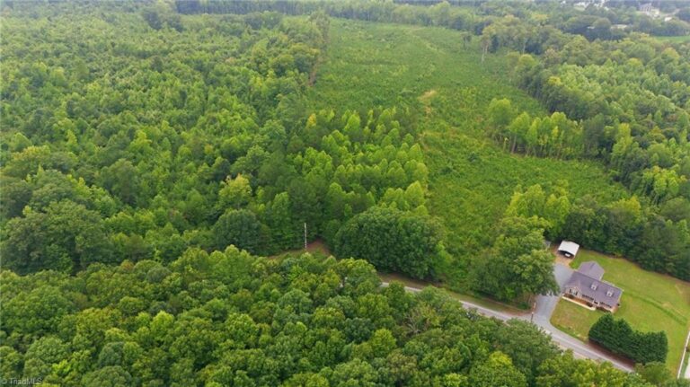 482 Old Mountain Road Lexington – photo 4