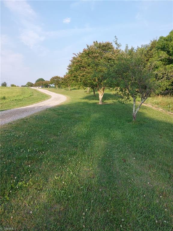 141 Old Thomas Farm Road Lexington – photo 6