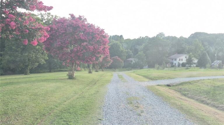 141 Old Thomas Farm Road Lexington – photo 4